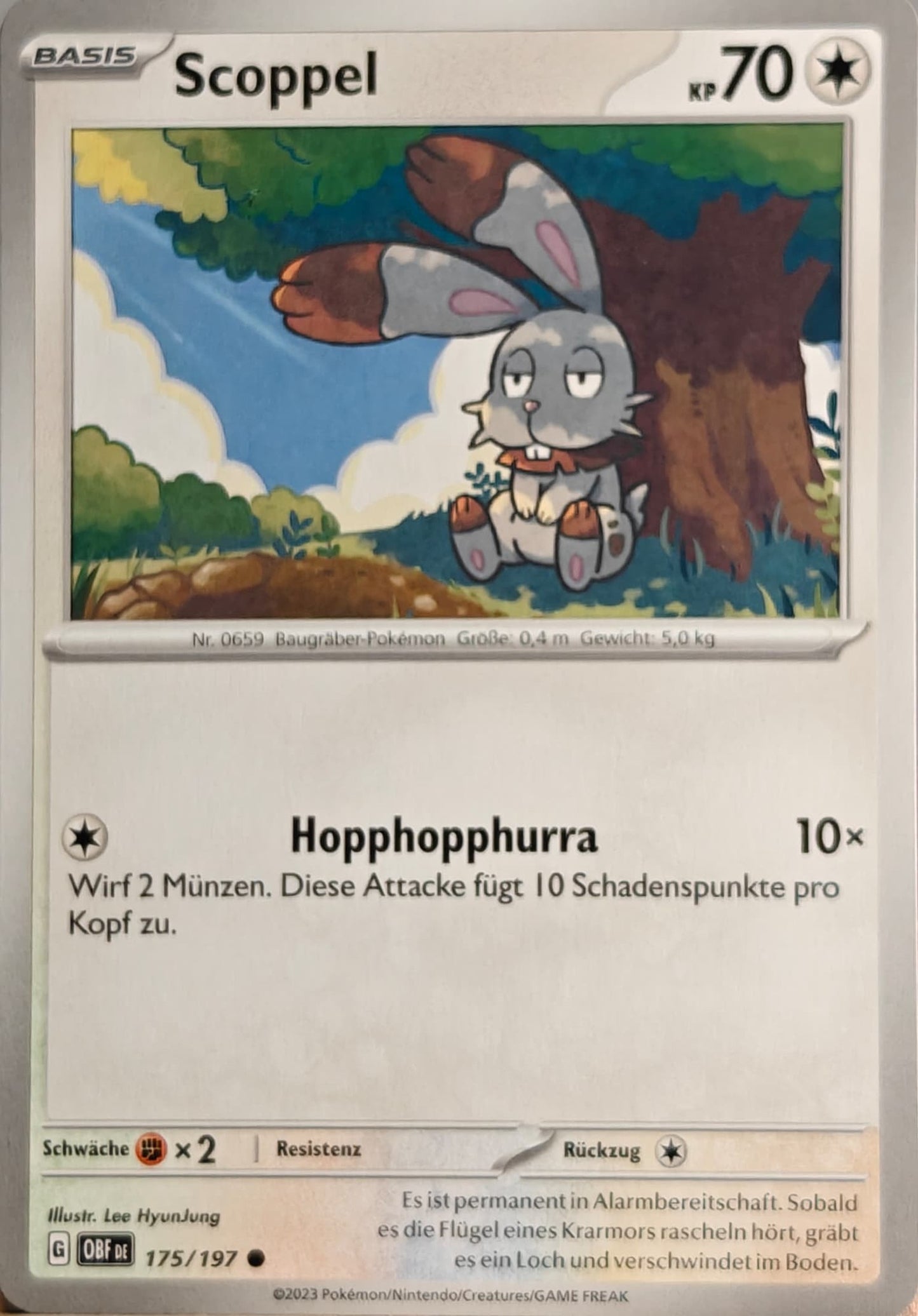 Scoppel - OBF 175/197 - Normal - Common DE