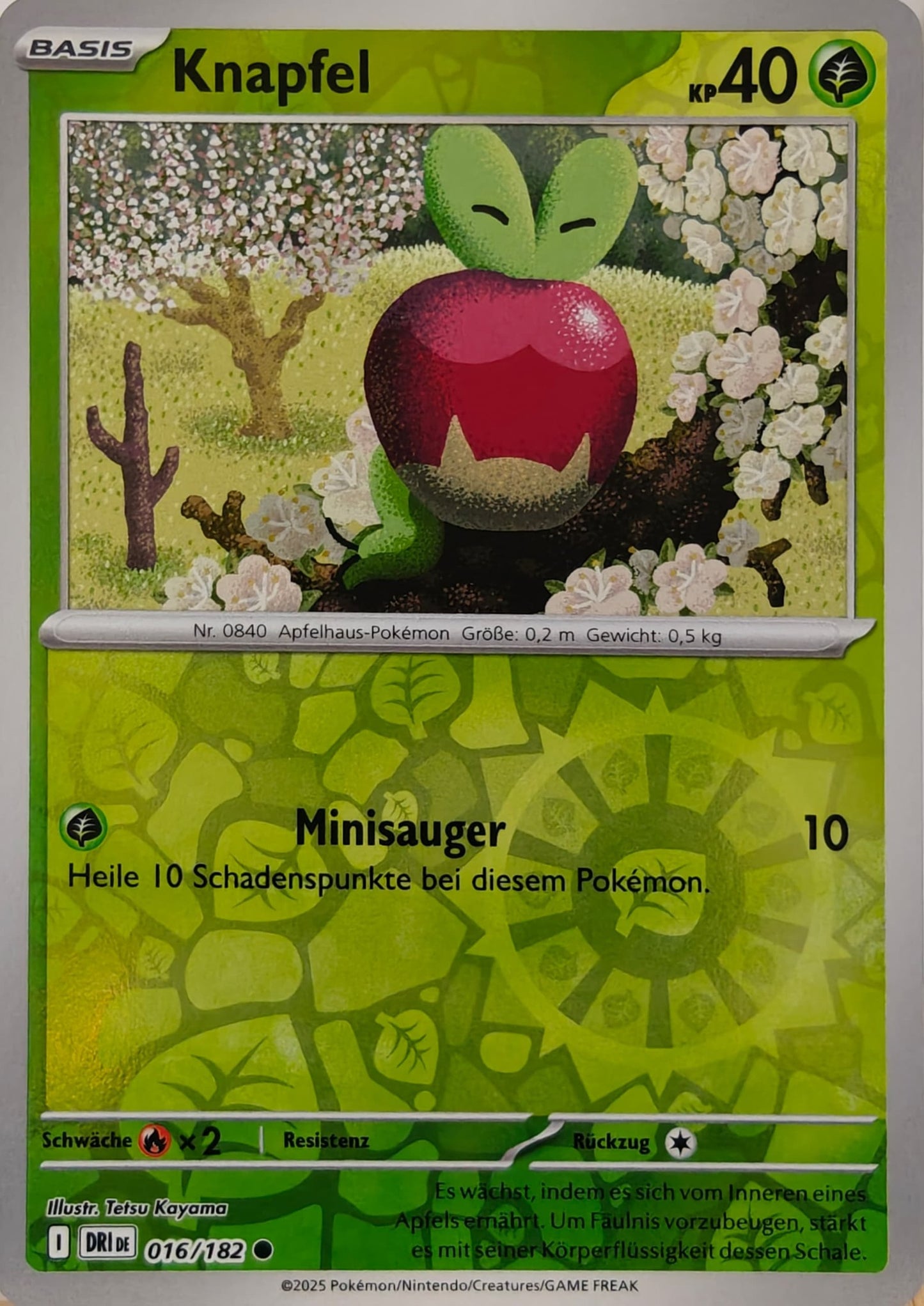 Knapfel - DRI 016/182 - Reverse Holo - Common DE