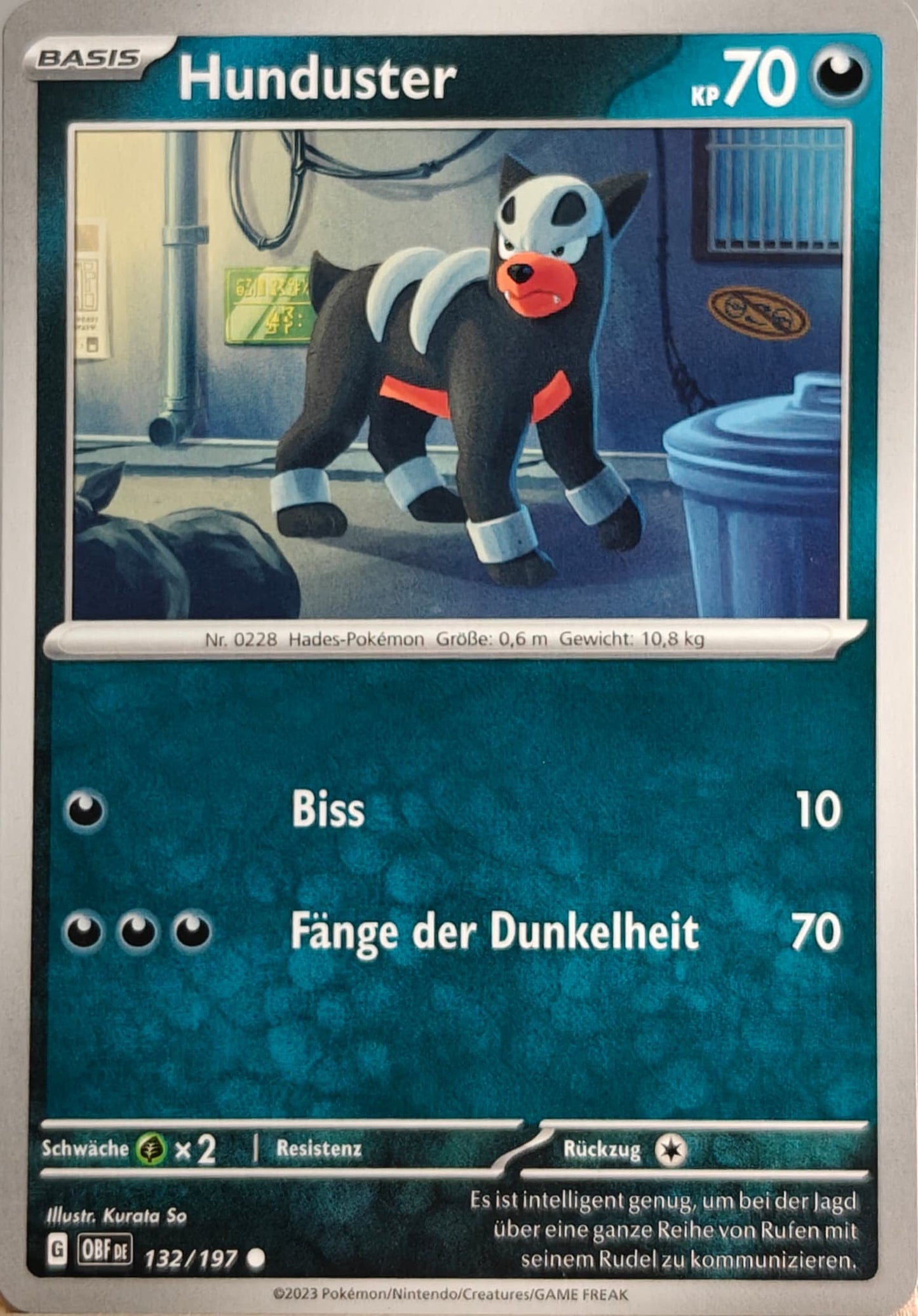 Hunduster - OBF 132/197 - Normal - Common DE