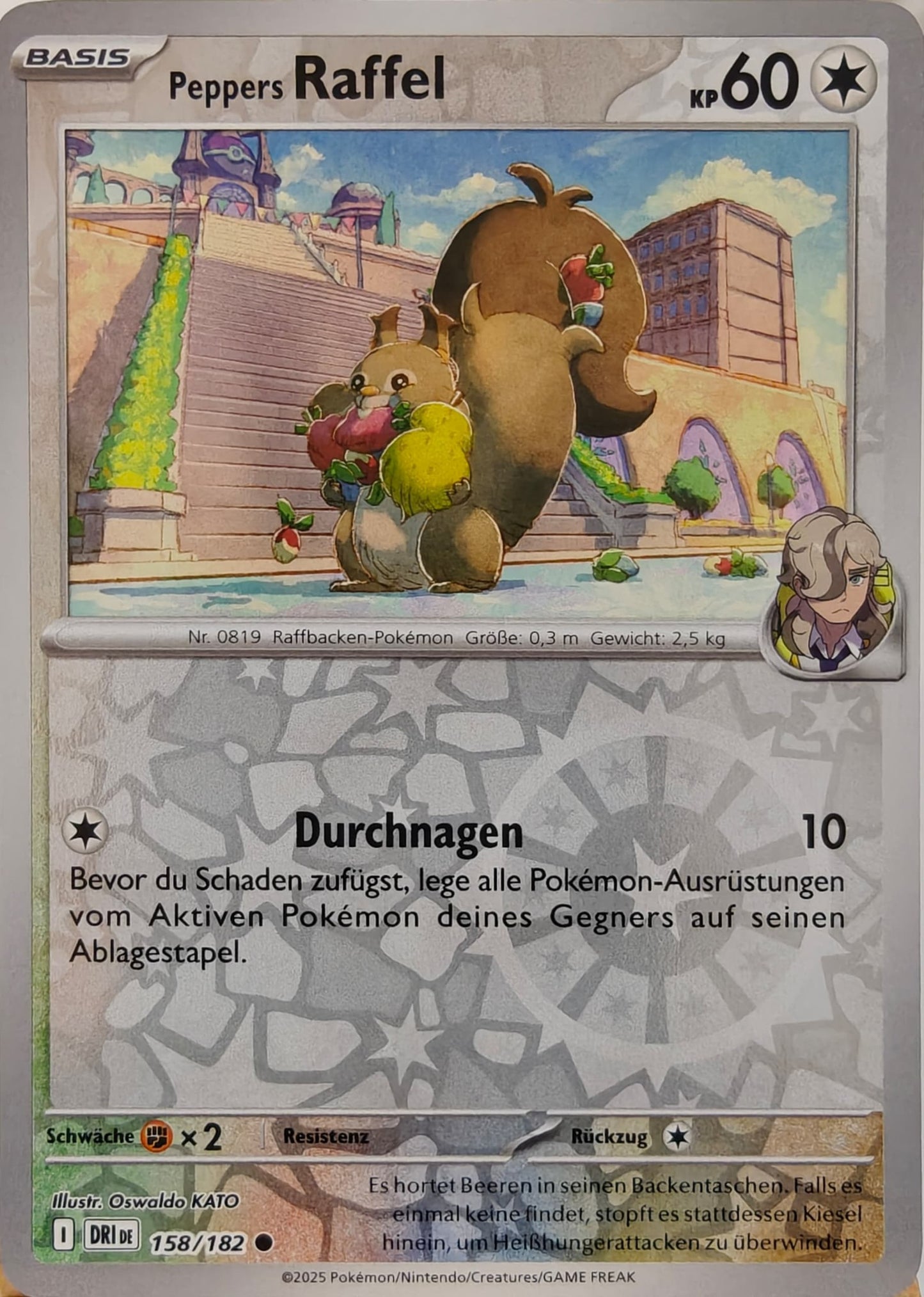 Peppers Raffel - DRI 158/182 - Reverse Holo - Common DE