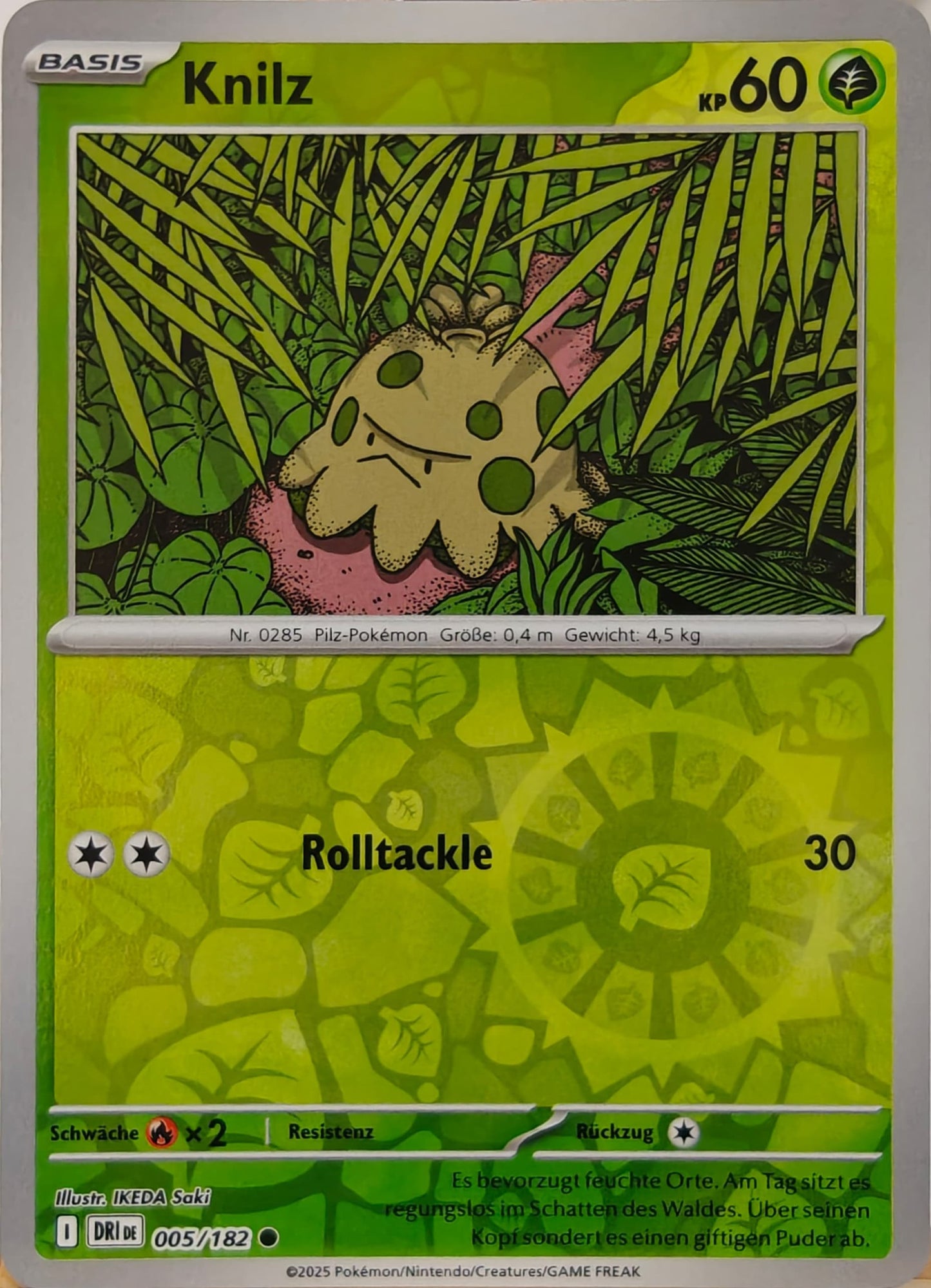 Knilz - DRI 005/182 - Reverse Holo - Common DE